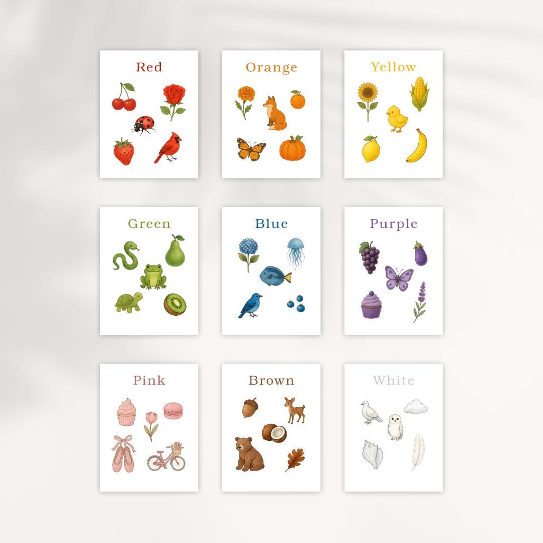 Nature Color Flashcards: Kids Learning Cards (Printable PDF Download)
