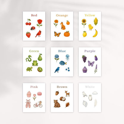 Nature Color Flashcards: Kids Learning Cards (Printable PDF Download)